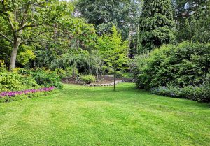 Optimiser l'expérience du jardin à Betton-Bettonet